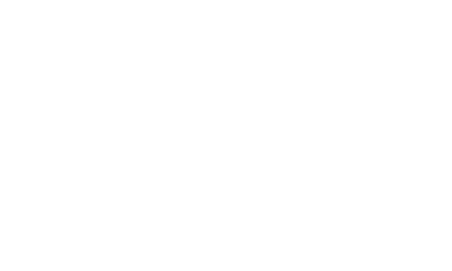 McDavid Logo