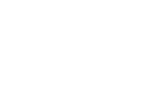 Nathan Logo