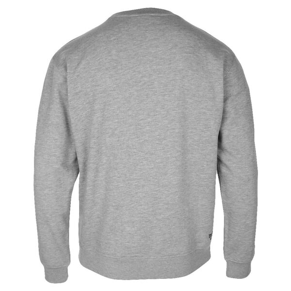 300208403-GM_TEAM II Crewneck Grey Melange_Back.png