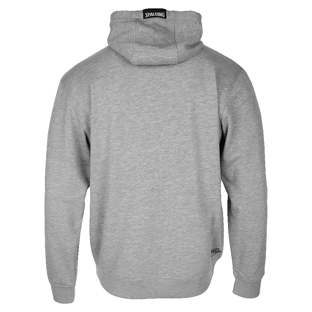 300208503-GM_TEAM II Hoodie Grey Melange_Back.png