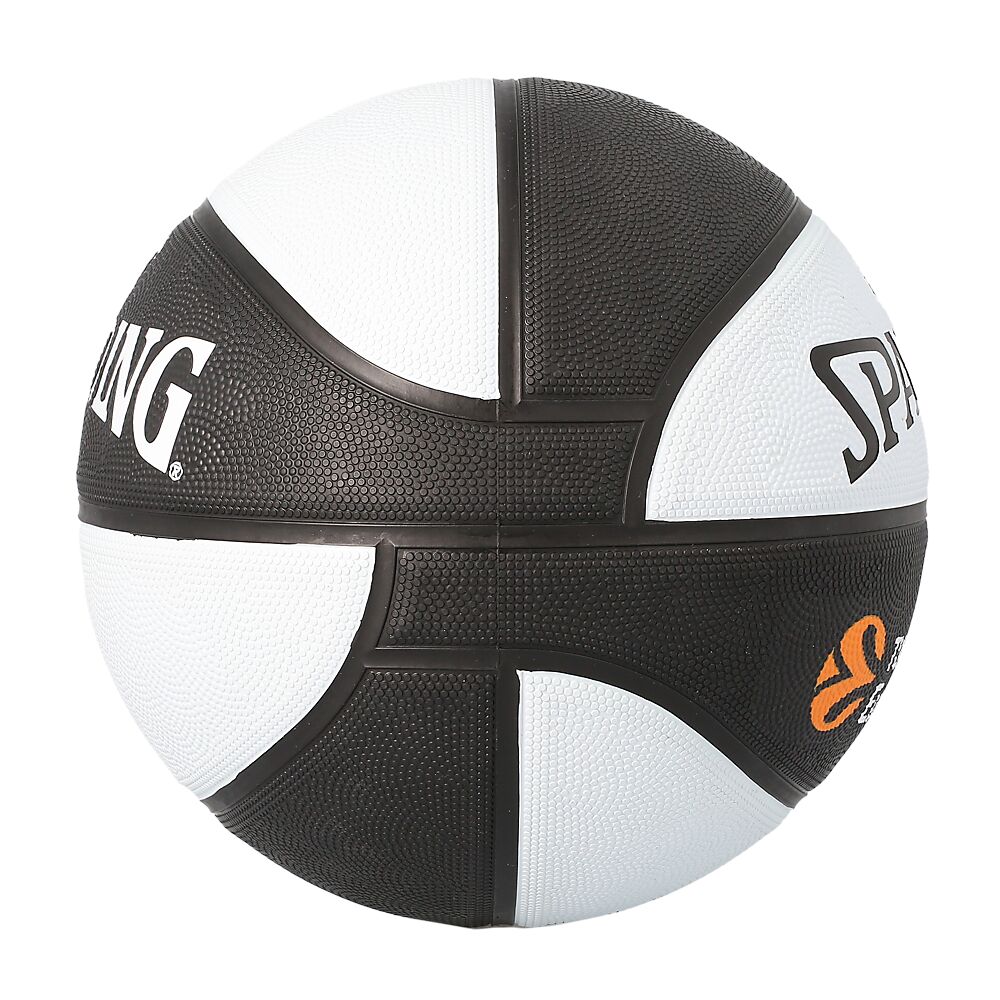 84636Z_Asvel EuroLeague 2018_Side 2.png