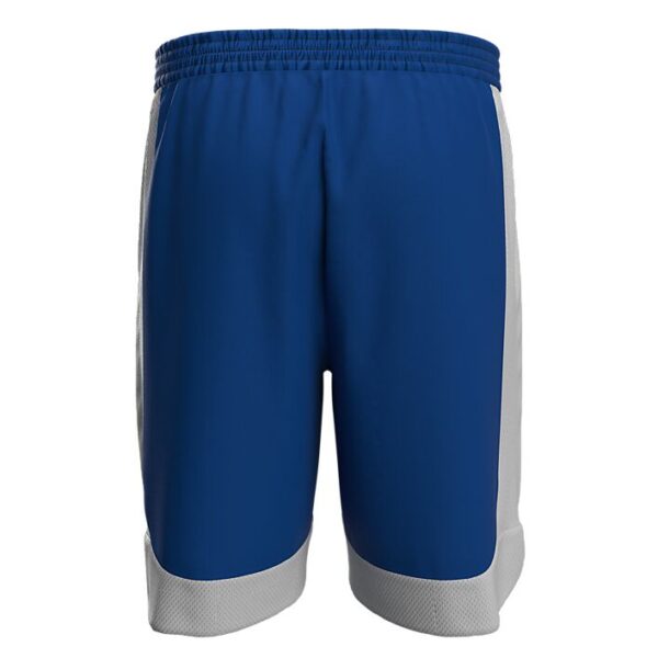 40221108-RYWH_Hustle Shorts Royal-White_Back.png