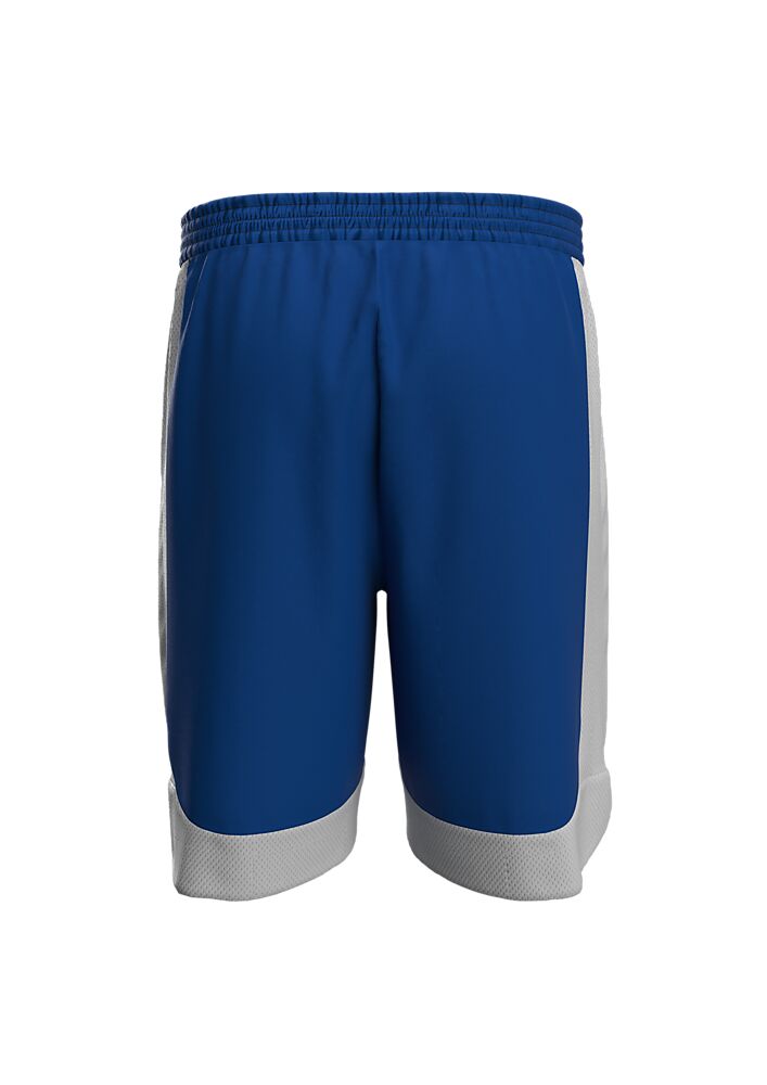 40221108-RYWH_Hustle Shorts Royal-White_Back.png