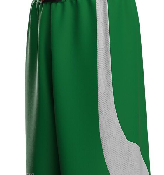 40221004-GNWH_Jam Shorts Green-White_Front Left.png