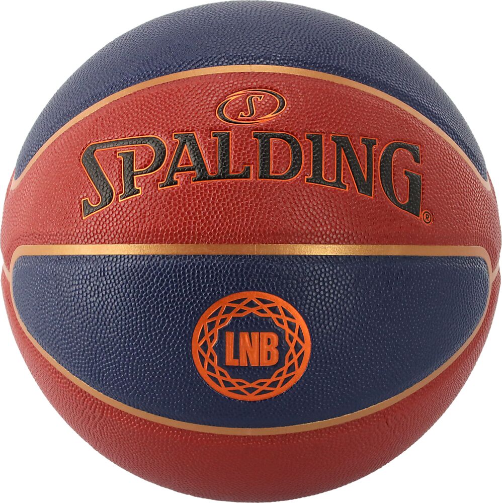 77888Z_LNB REACT TF250_Back.png