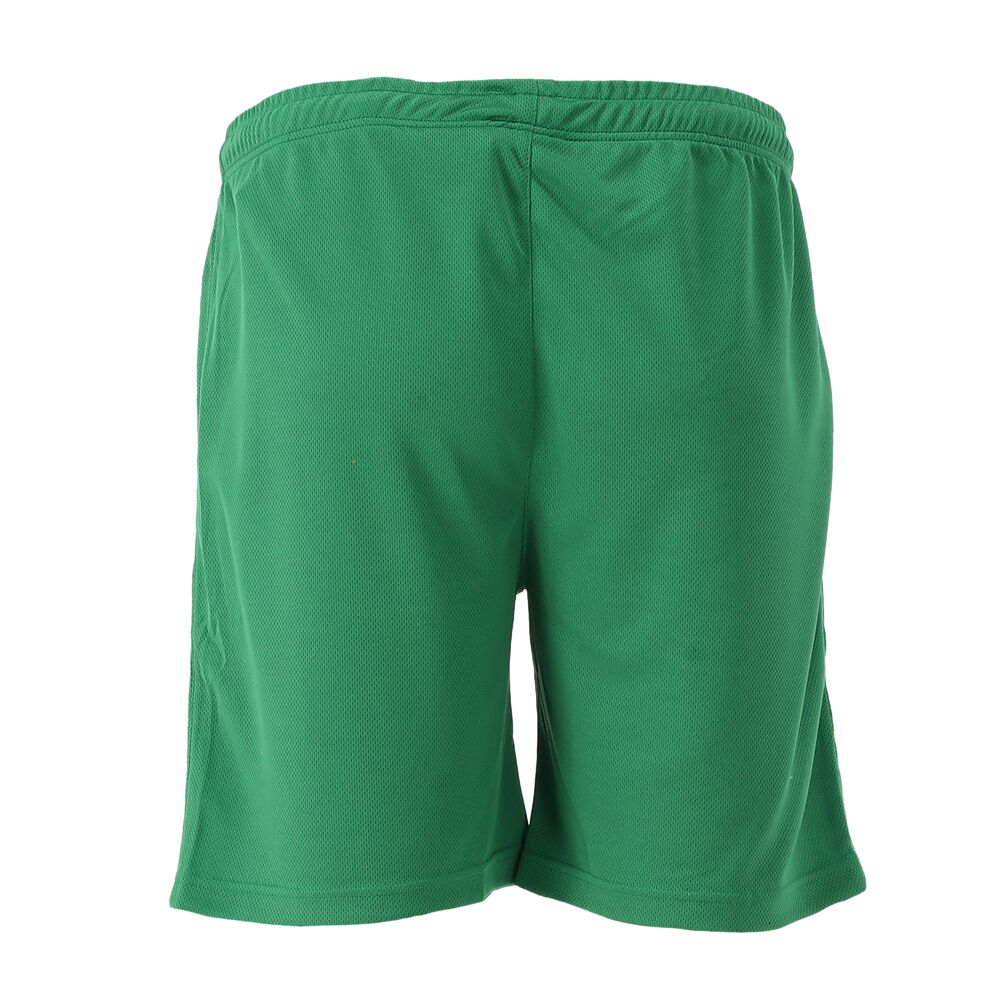 SP25011100-GN_Motion Shorts Men Green_Back.png