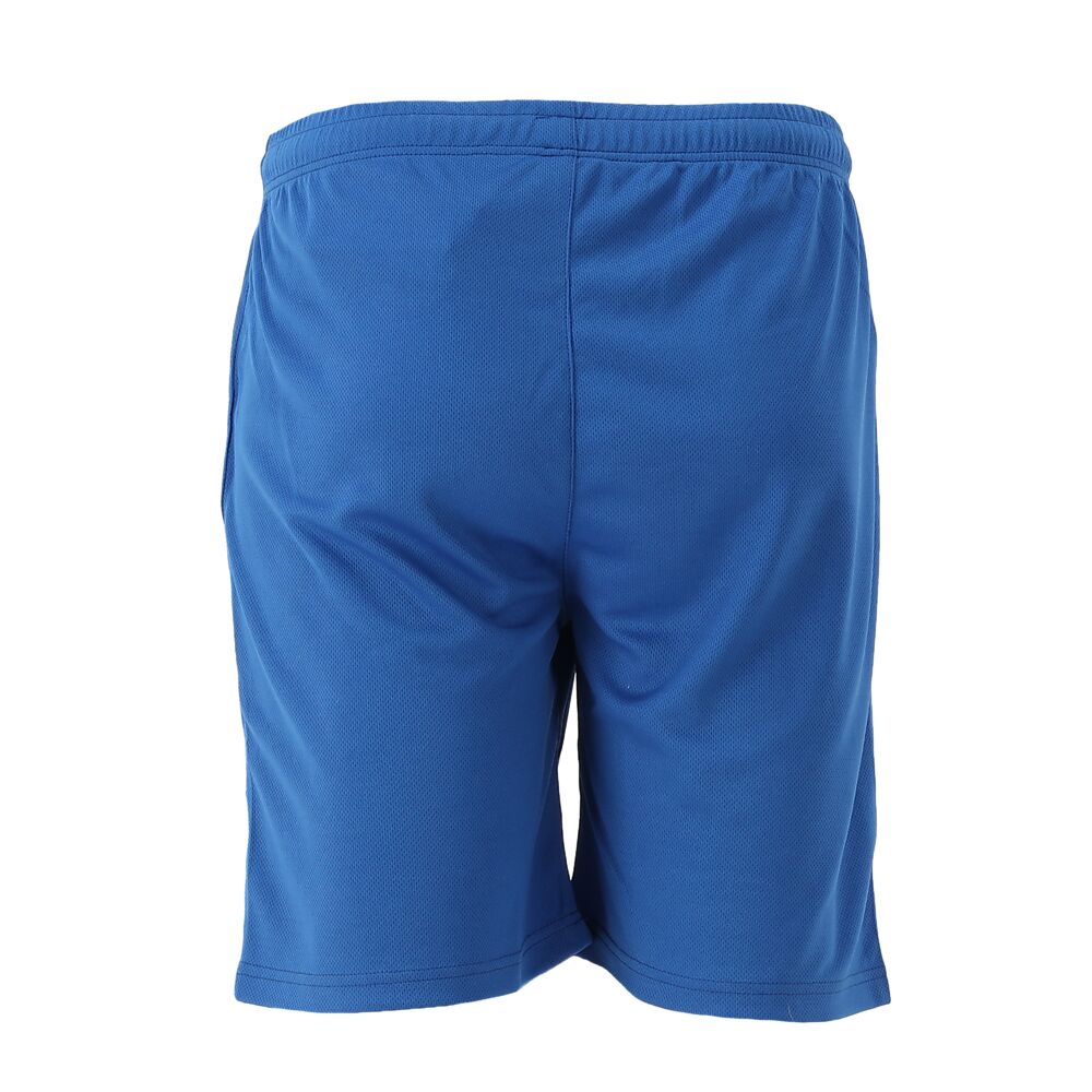 SP25011100-RY_Motion Shorts Men Royal_Back.png
