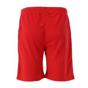 SP25011100-RD_Motion Shorts Men Red_Back.png