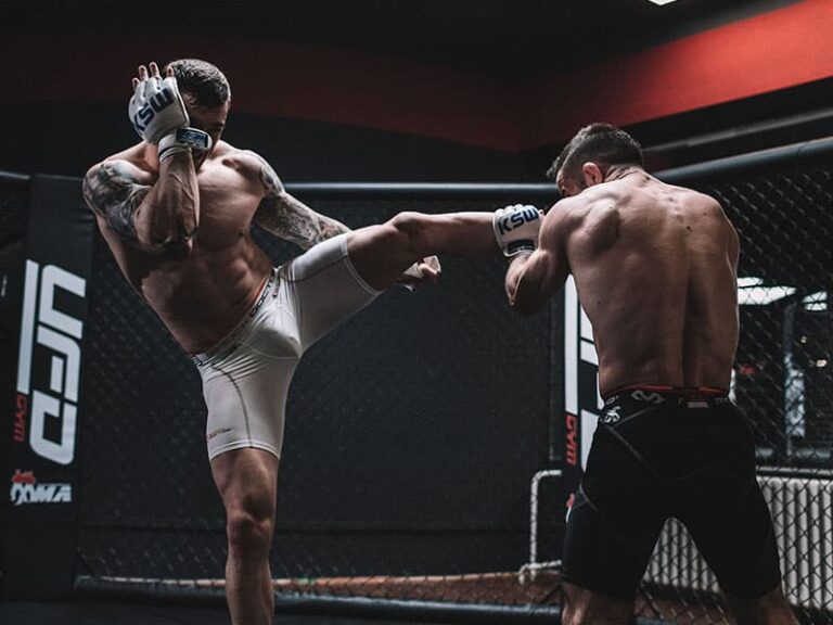 MMA Fight cat